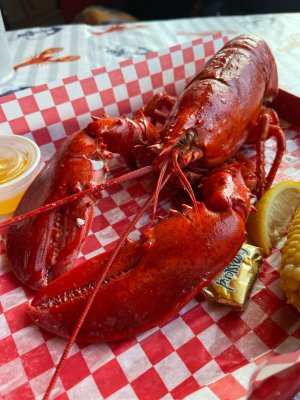 IMG_0016.jpeg IMG_0016.jpeg