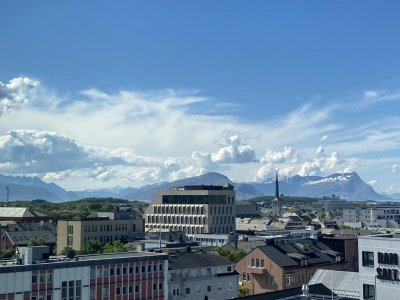 IMG_9864.jpg