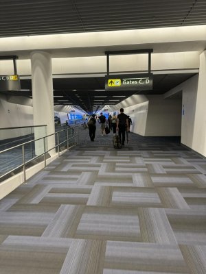 IMG_1330.jpg