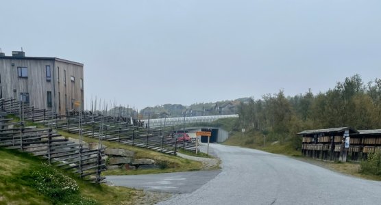 IMG_2587.jpeg
