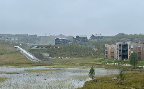 IMG_2588.jpeg