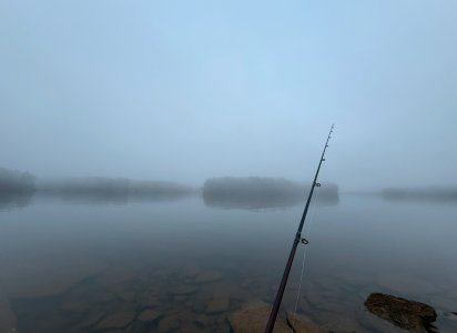 IMG_7964.jpeg