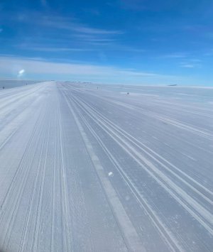 IMG_3785.jpg