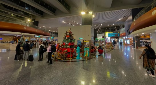 IMG_4131.jpeg