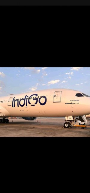 LN-LNC 2.jpg