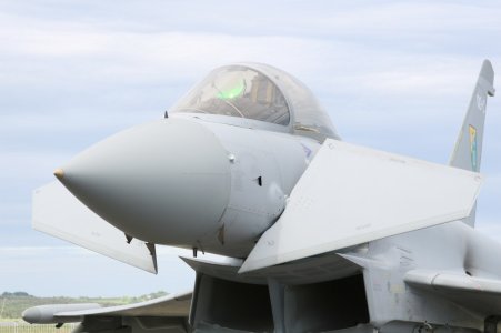 hornet.jpg