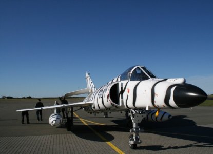 tiger_uten.jpg