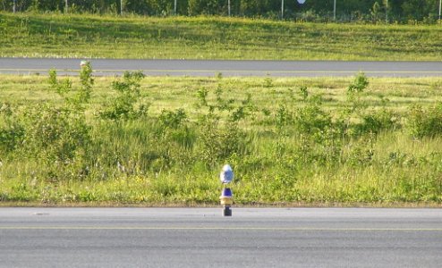 p6221398 edited.jpg