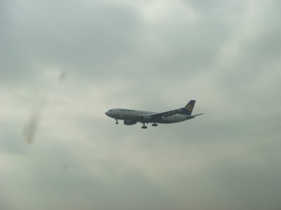 lh300.jpg