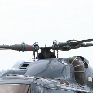 img_23461.jpg