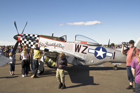 g_haec_1y7j7767.jpg