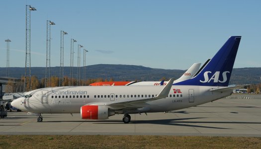 sas_737wl.jpg