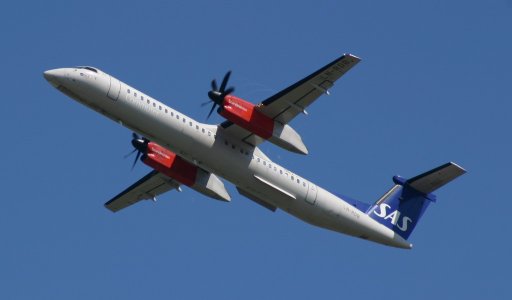 IMG_4143_1.JPG