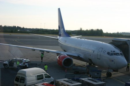 736.jpg
