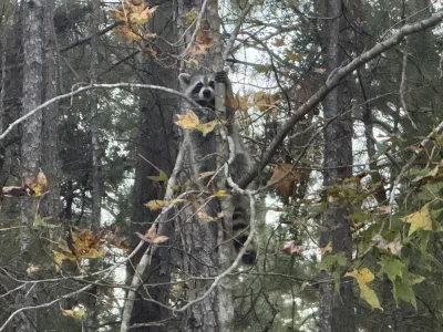 IMG_8906.webp IMG_8906.webp