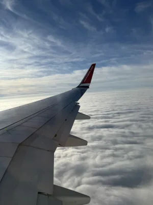 IMG_1995.webp IMG_1995.webp