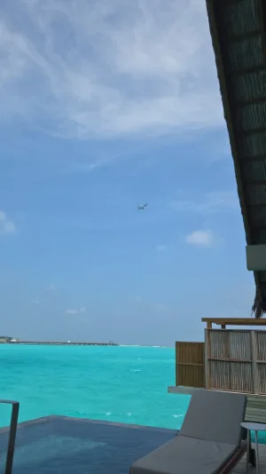 1000027820.webp 1000027820.webp