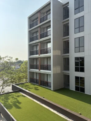 IMG_2077.webp IMG_2077.webp