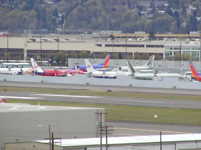 P4120007.webp P4120007.webp