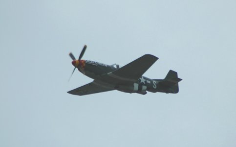DSC_0108.jpg