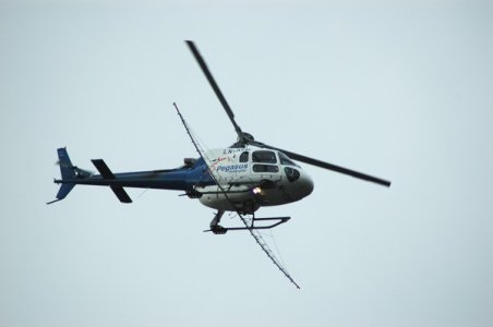 DSC_0013.jpg