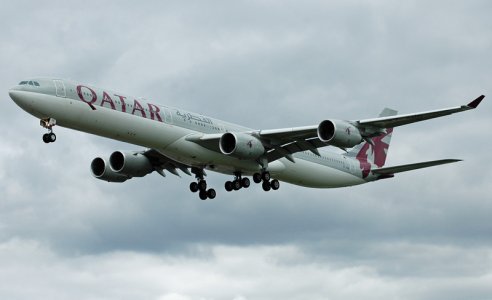 fly-142.jpg