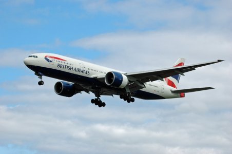 fly-161.jpg