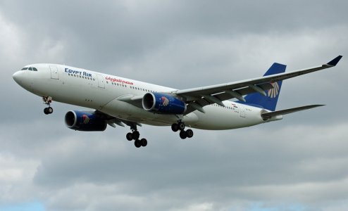 fly-177.jpg