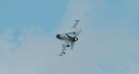 DSC_0095.jpg