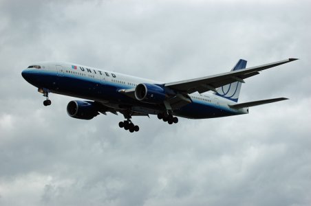 fly-030.jpg