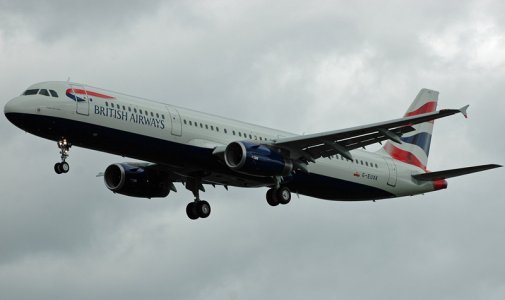 fly-038.jpg
