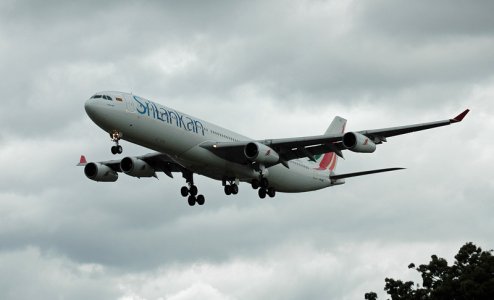 fly-047.jpg