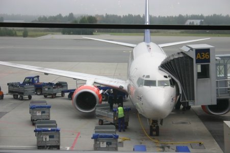 737.jpg