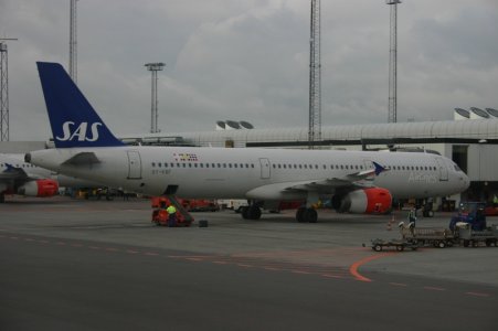 321.jpg