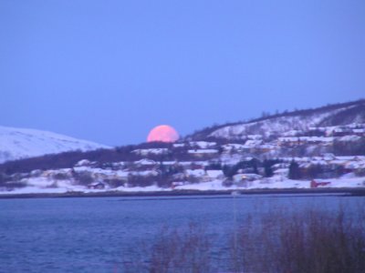 P2050218 edited.jpg