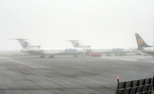 IMG_2150.JPG