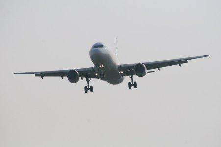 yllca 001.jpg