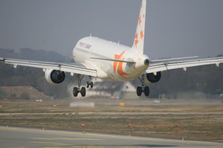yllca 003.jpg