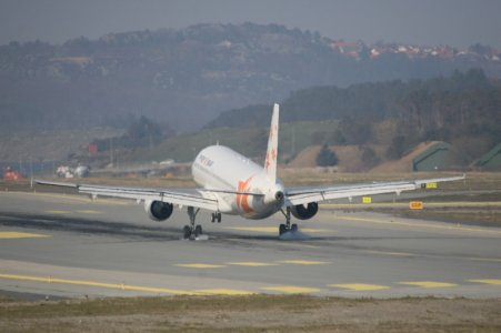 yllca 004.jpg