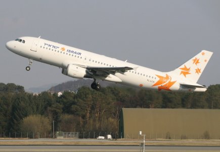 yllca 005.jpg