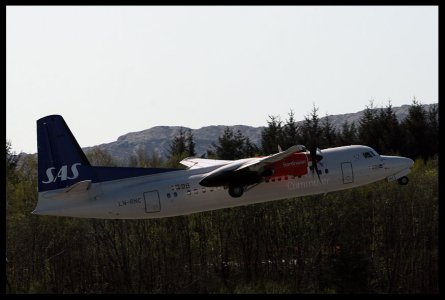 IMG_3474.JPG