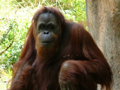 zoo3.jpg