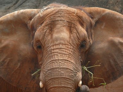 zoo1.jpg