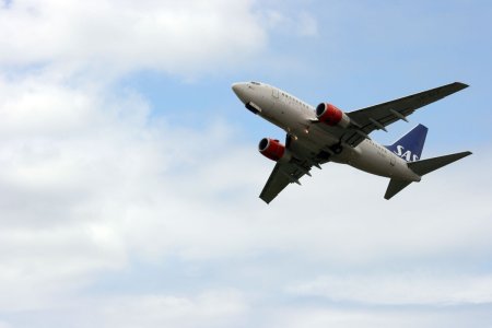 ln-rpf-1.jpg