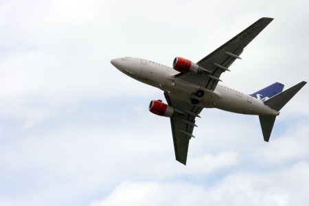ln-rpf-2.jpg