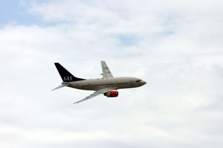 ln-rpf-3.jpg