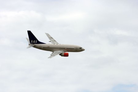 ln-rpf-4.jpg