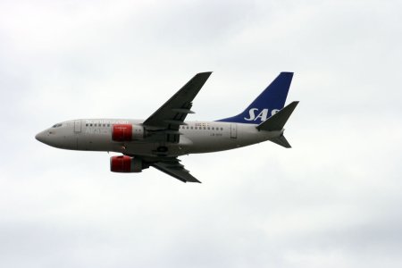 ln-rpf-5.jpg