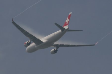 swissa3302.jpg