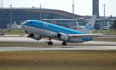 fly 039.jpg